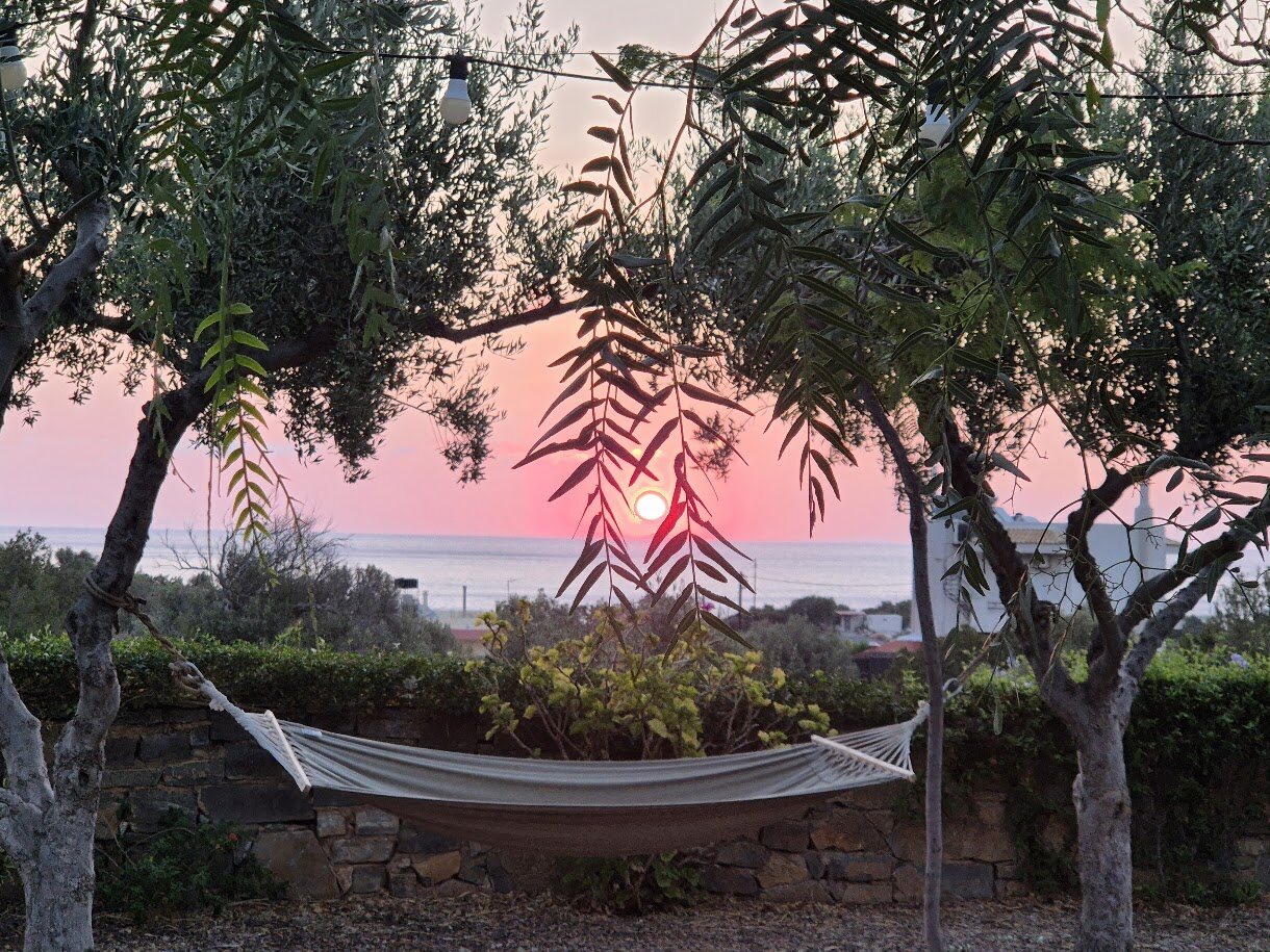 Dawn over the gulf from the hammock